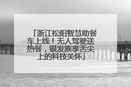 浙江松阳智慧助餐车上线！无人驾驶送热餐，银发族享舌尖上的科技关怀