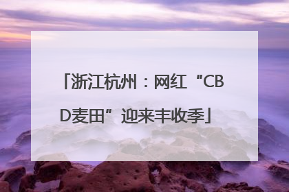 浙江杭州：网红“CBD麦田”迎来丰收季