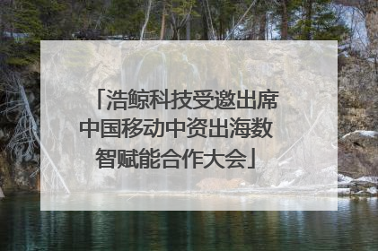 浩鲸科技受邀出席中国移动中资出海数智赋能合作大会