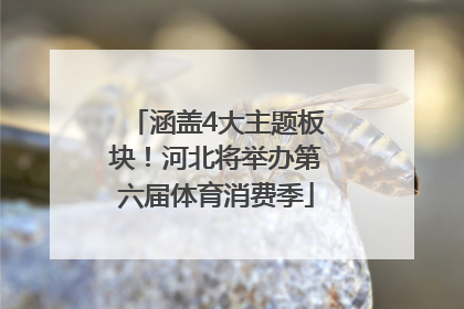 涵盖4大主题板块！河北将举办第六届体育消费季