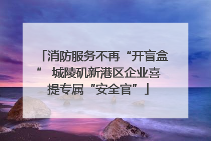 消防服务不再“开盲盒” 城陵矶新港区企业喜提专属“安全官”