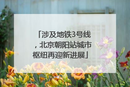 涉及地铁3号线，北京朝阳站城市枢纽再迎新进展