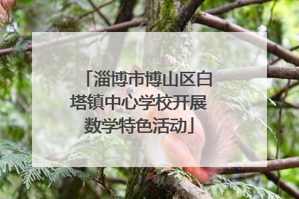 淄博市博山区白塔镇中心学校开展数学特色活动