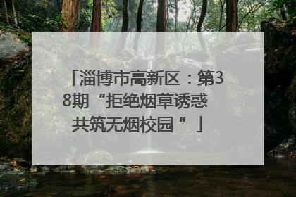 淄博市高新区：第38期“拒绝烟草诱惑 共筑无烟校园 ”