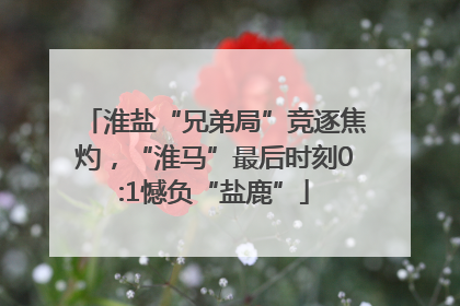 淮盐“兄弟局”竞逐焦灼，“淮马”最后时刻0:1憾负“盐鹿”