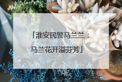 淮安民警马兰兰：马兰花开溢芬芳