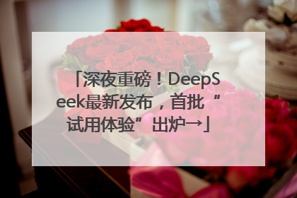 深夜重磅！DeepSeek最新发布，首批“试用体验”出炉→
