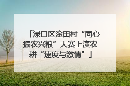渌口区淦田村“同心振农兴粮”大赛上演农耕“速度与激情”