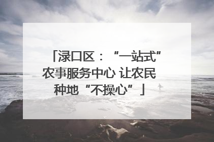 渌口区：“一站式”农事服务中心 让农民种地“不操心”