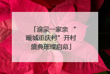 渝蒙一家亲 “暖城重庆村”开村盛典璀璨启幕