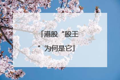 港股“股王”为何是它