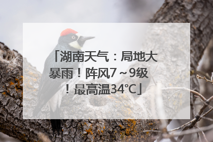 湖南天气：局地大暴雨！阵风7～9级！最高温34℃
