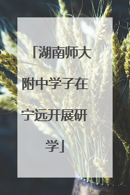 湖南师大附中学子在宁远开展研学