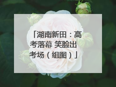 湖南新田：高考落幕 笑脸出考场（组图）