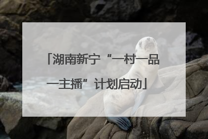 湖南新宁“一村一品一主播”计划启动