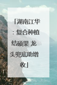 湖南江华：复合种植结硕果 龙头兜底助增收