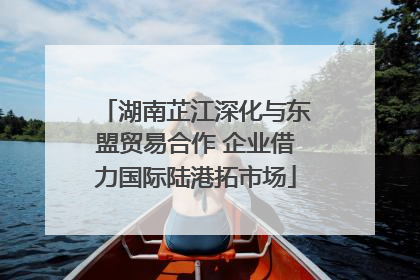 湖南芷江深化与东盟贸易合作 企业借力国际陆港拓市场