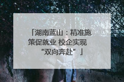 湖南蓝山：精准施策促就业 校企实现“双向奔赴”