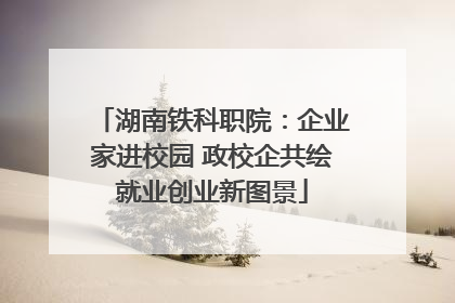 湖南铁科职院：企业家进校园 政校企共绘就业创业新图景