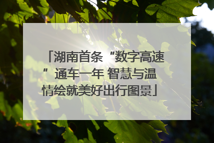 湖南首条“数字高速”通车一年 智慧与温情绘就美好出行图景