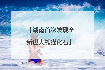 湖南首次发现全新世大熊猫化石