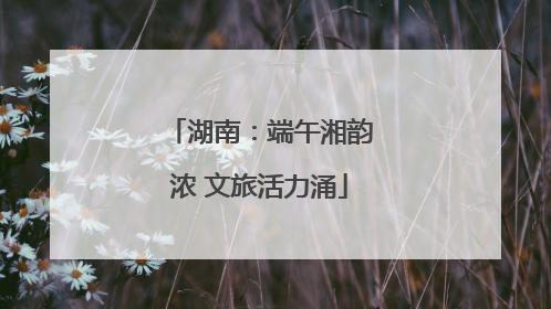 湖南：端午湘韵浓 文旅活力涌