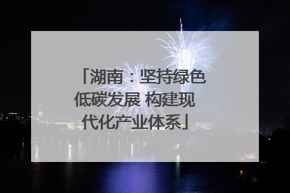 湖南：坚持绿色低碳发展 构建现代化产业体系