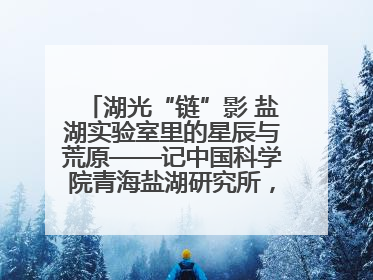 湖光“链”影 盐湖实验室里的星辰与荒原——记中国科学院青海盐湖研究所，盐湖资源化学实验室党总支书记、副主任刘忠