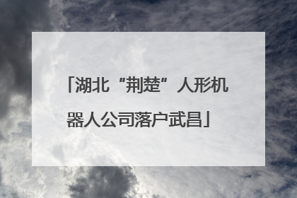 湖北“荆楚”人形机器人公司落户武昌