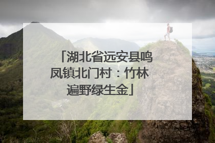 湖北省远安县鸣凤镇北门村：竹林遍野绿生金