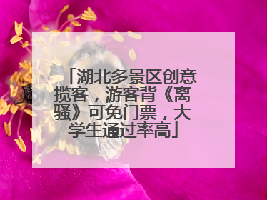 湖北多景区创意揽客，游客背《离骚》可免门票，大学生通过率高