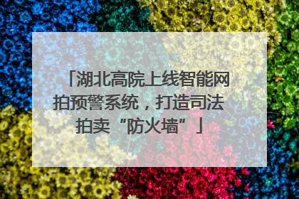湖北高院上线智能网拍预警系统,打造司法拍卖“防火墙”