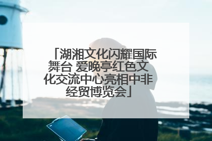 湖湘文化闪耀国际舞台 爱晚亭红色文化交流中心亮相中非经贸博览会