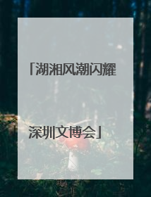 湖湘风潮闪耀深圳文博会