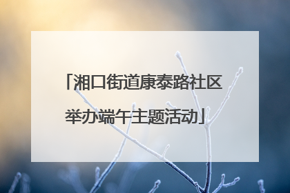 湘口街道康泰路社区举办端午主题活动