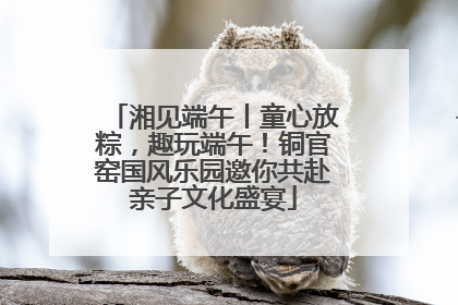 湘见端午丨童心放粽，趣玩端午！铜官窑国风乐园邀你共赴亲子文化盛宴