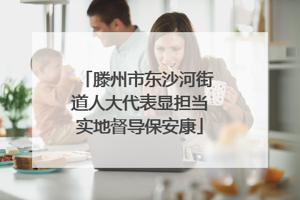 滕州市东沙河街道人大代表显担当实地督导保安康