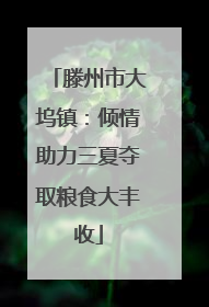 滕州市大坞镇：倾情助力三夏夺取粮食大丰收