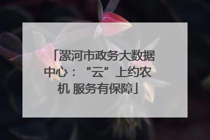 漯河市政务大数据中心：“云”上约农机 服务有保障