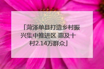 菏泽单县打造乡村振兴集中推进区 惠及十村2.14万群众
