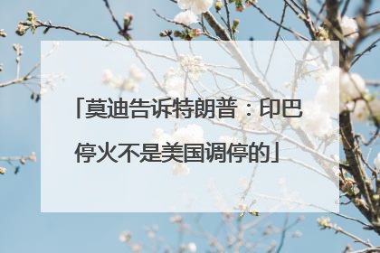 莫迪告诉特朗普：印巴停火不是美国调停的
