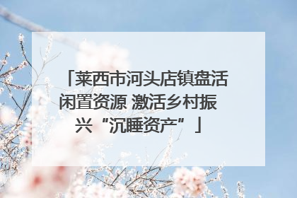 莱西市河头店镇盘活闲置资源 激活乡村振兴“沉睡资产”