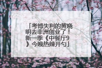 考博失利的黄晓明去非洲创业了！新一季《中餐厅9》今晚热辣开勺