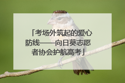 考场外筑起的爱心防线——向日葵志愿者协会护航高考