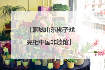 聊城山东梆子戏亮相中国非遗馆