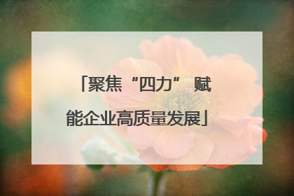 聚焦“四力” 赋能企业高质量发展