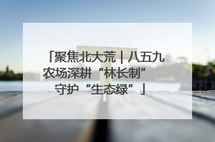 聚焦北大荒｜八五九农场深耕“林长制” 守护“生态绿”
