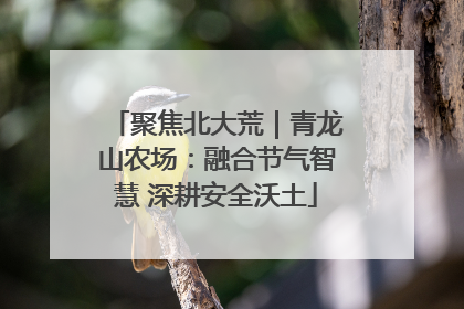 聚焦北大荒｜青龙山农场：融合节气智慧 深耕安全沃土