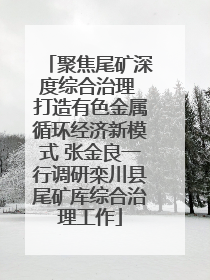 聚焦尾矿深度综合治理 打造有色金属循环经济新模式 张金良一行调研栾川县尾矿库综合治理工作
