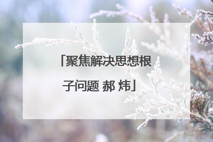 聚焦解决思想根子问题 郝 炜